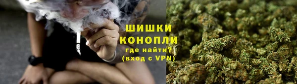 спайс Арсеньев